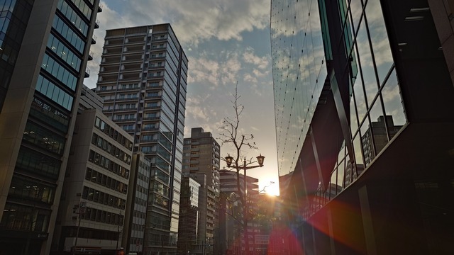 20250409_171406667.JPG