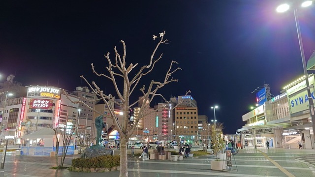 20250409_211852789.JPG